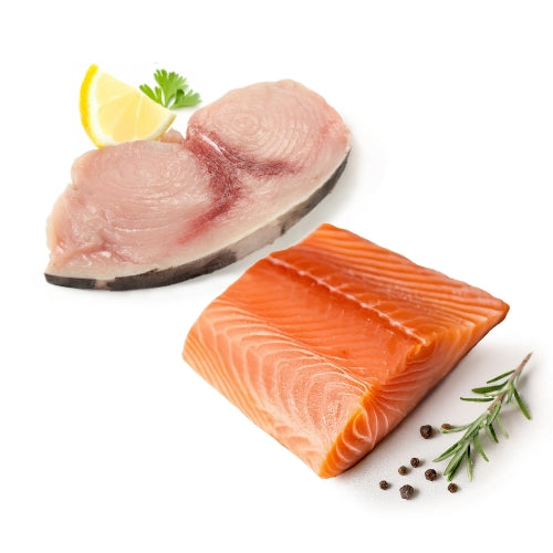 pesce albamare