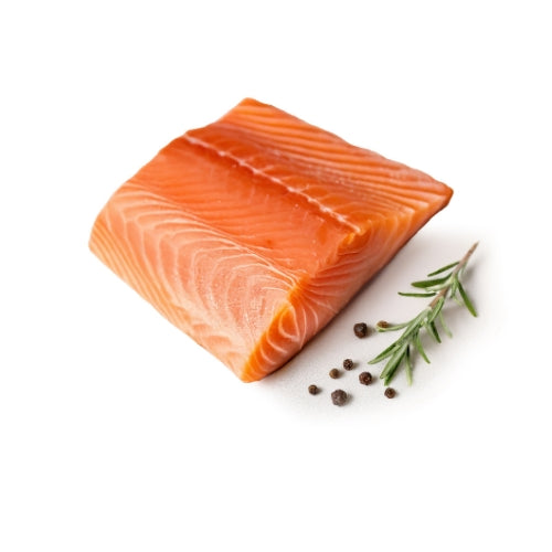 filetto salmone 
