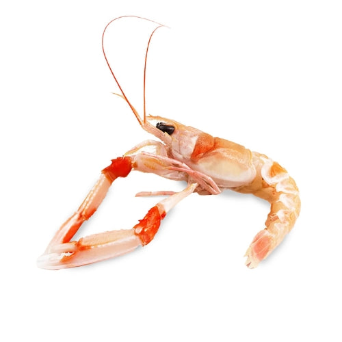 Scampi imperiali