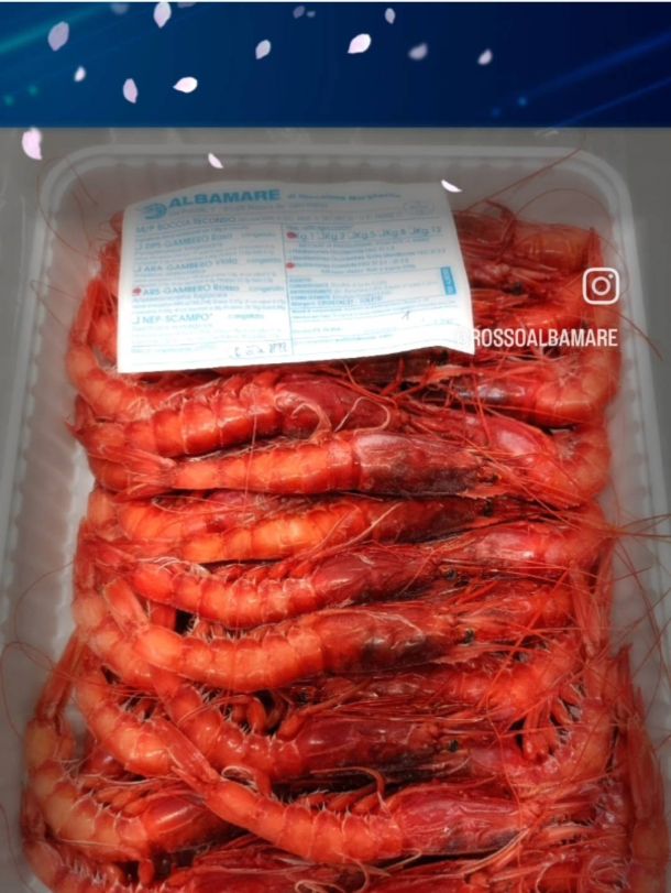 pesca del gambero rosso di Mazara del Vallo