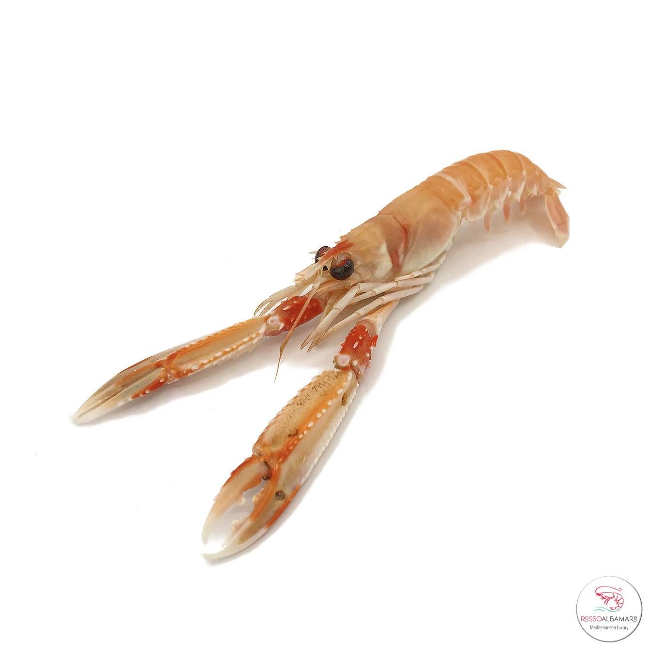 scampi rossoalbamare