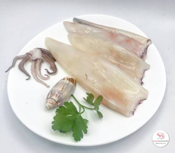 calamari rossoalbamare