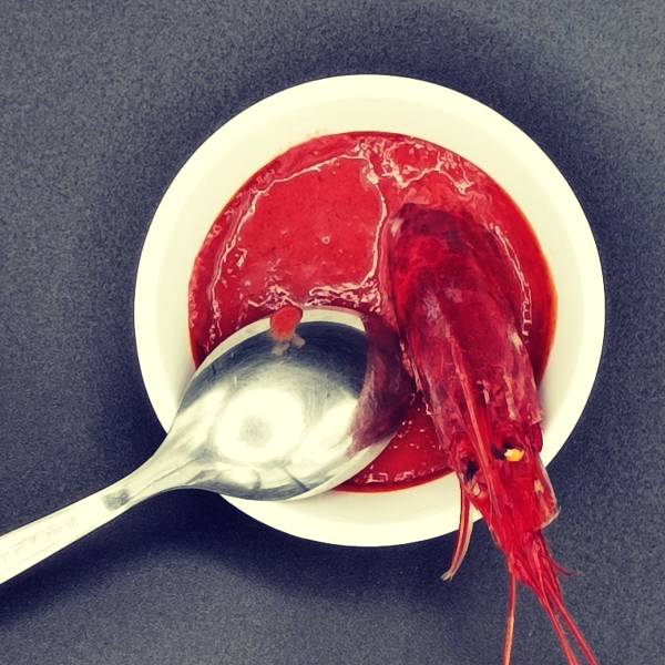 nettare di gambero rosso